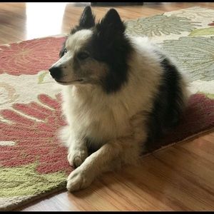 Meet your Posher, Stacey